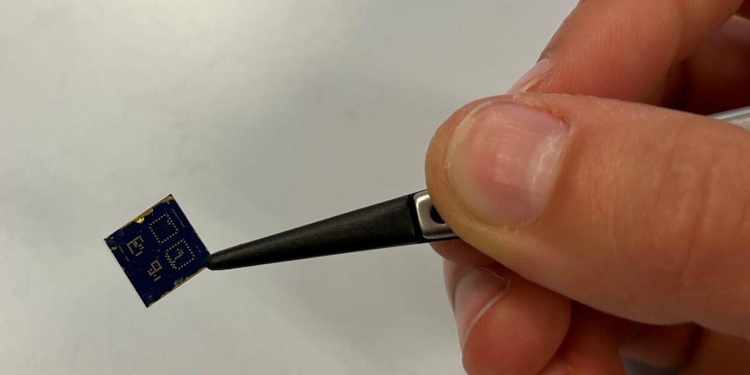 Iemand die een chip vasthoudt.