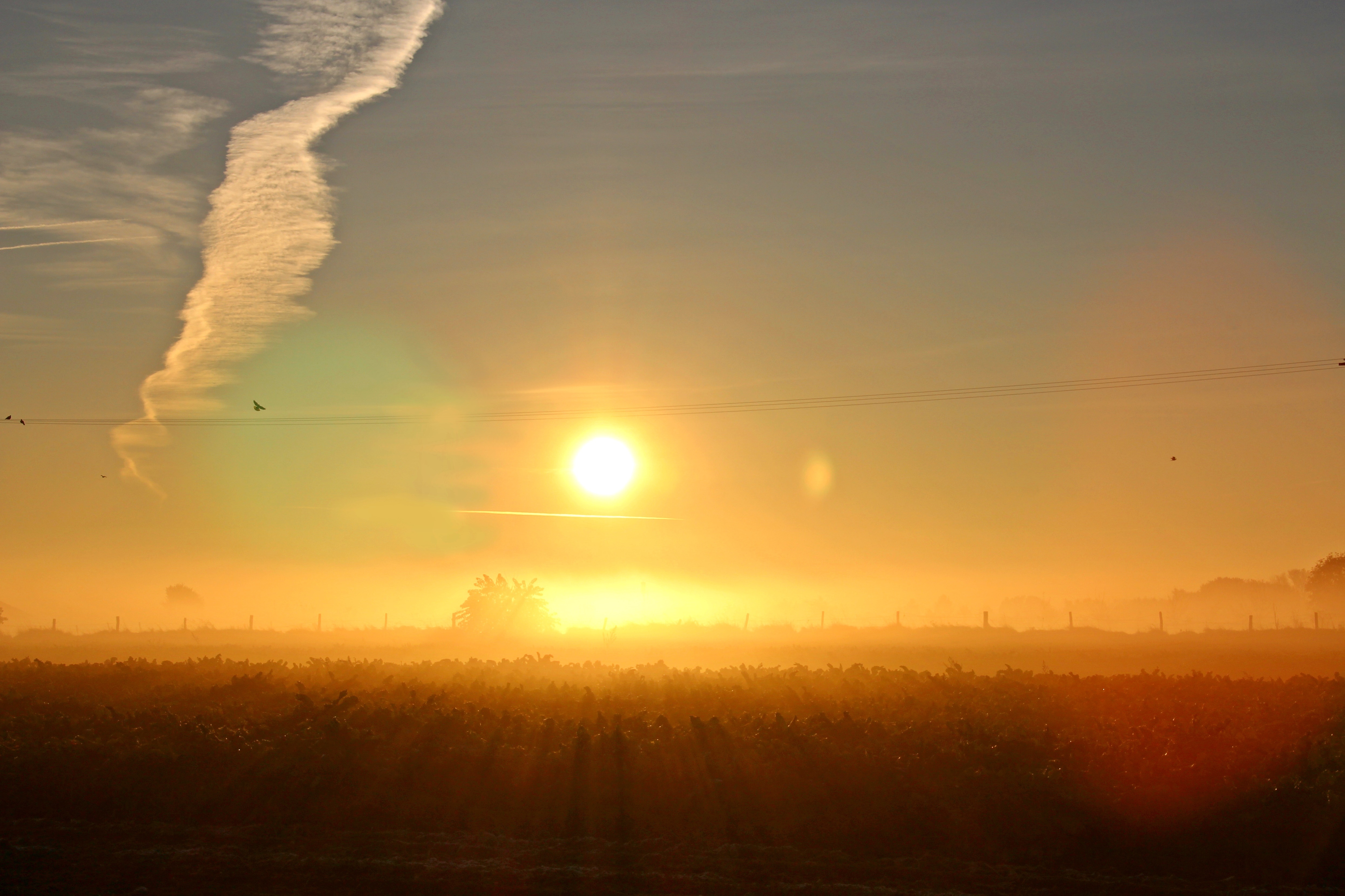 De zon komt op boven een veld met een wolk aan de hemel.