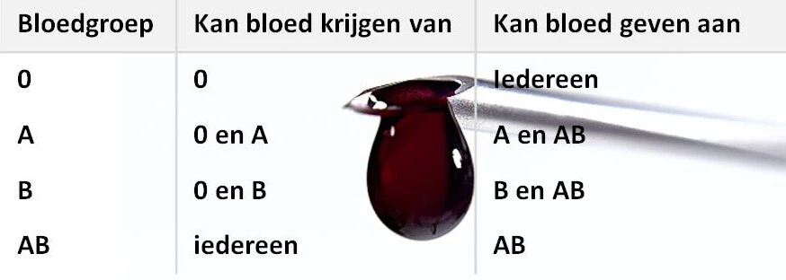 Wat bepaalt je bloedgroep? - NEMO Kennislink